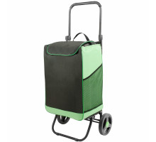 Сумка-тележка Спутник 2 Макси цвет черно-зеленый