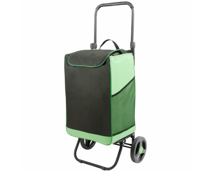 Сумка-тележка Спутник 2 Макси цвет черно-зеленый