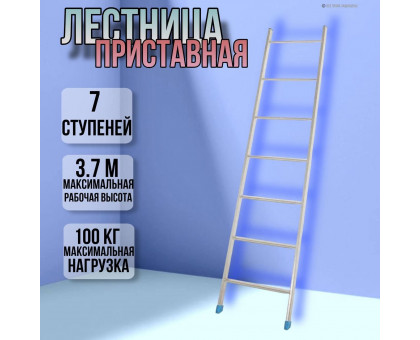 Лестница приставная 7 ступеней длина 1,7м Л7