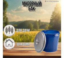 Мусорный бак 38 литров с крышкой / арт. С330